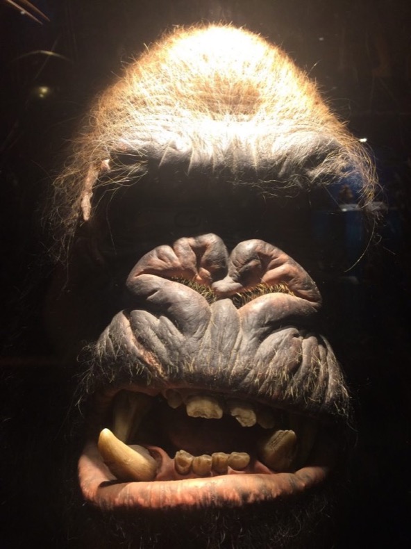 weta_workshop_ape